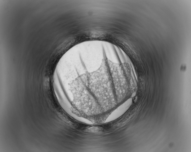 X0000098010269200804251121