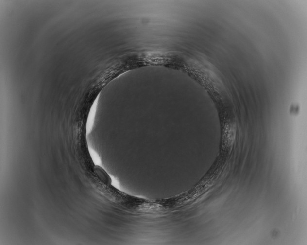 X0000098010271200804251121