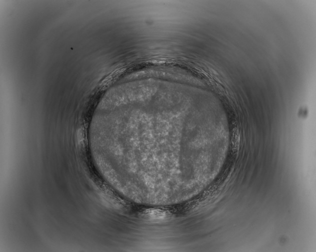 X0000098010272200804251121