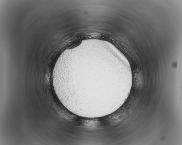 X0000098010274200804251121