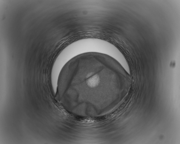X0000098010276200804251121