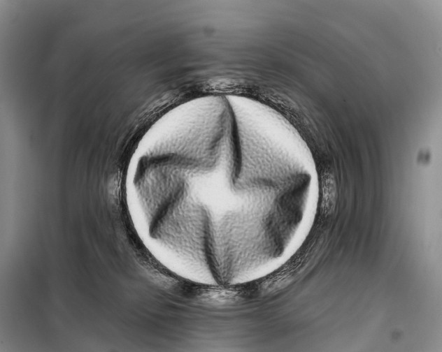 X0000098010278200804251121