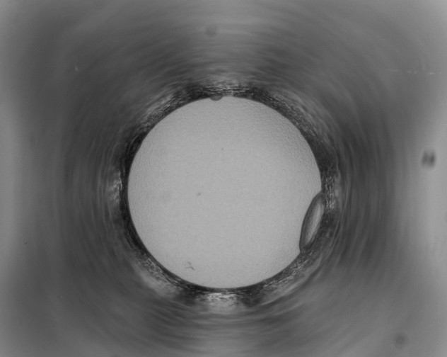 X0000098010279200804251121