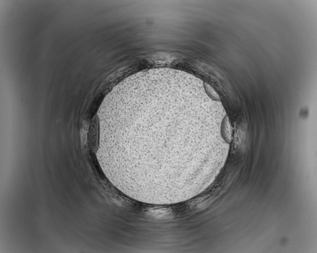X0000098010283200804251121