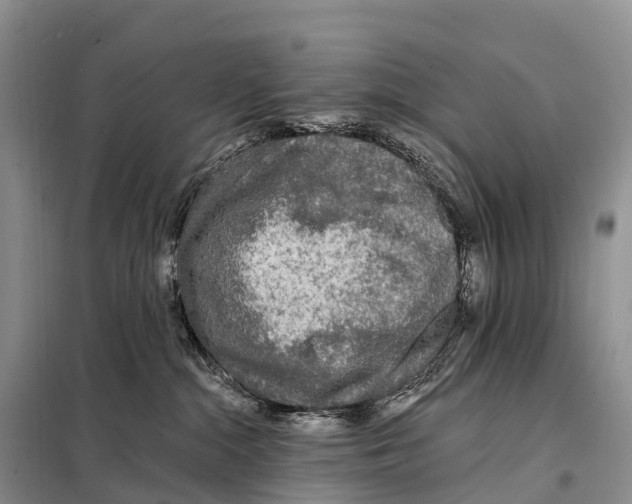 X0000098010284200804251121