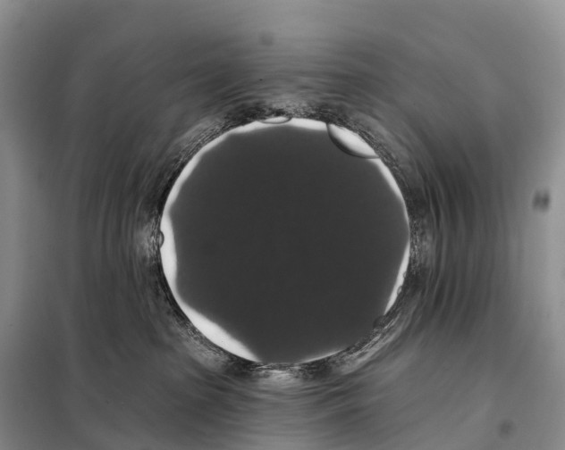 X0000098010285200804251121