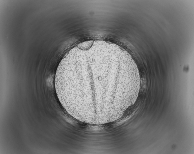 X0000098010286200804251121