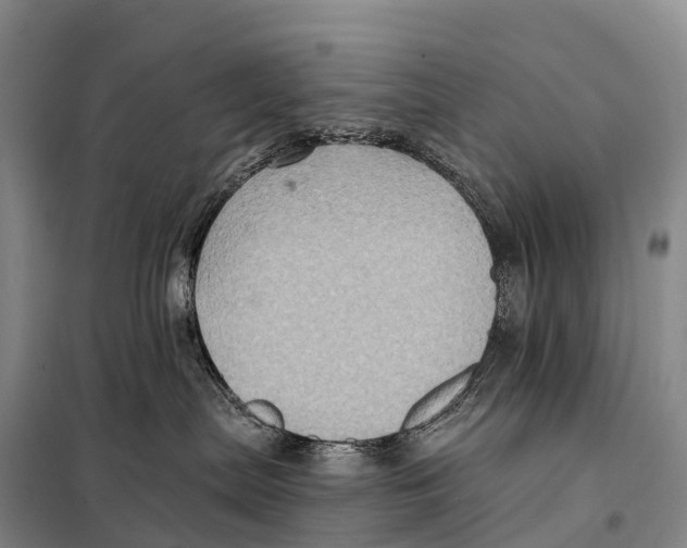 X0000098010287200804251121