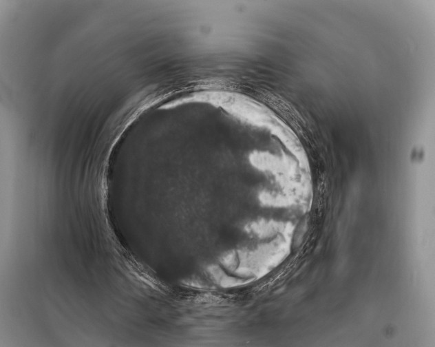 X0000098010290200804251121