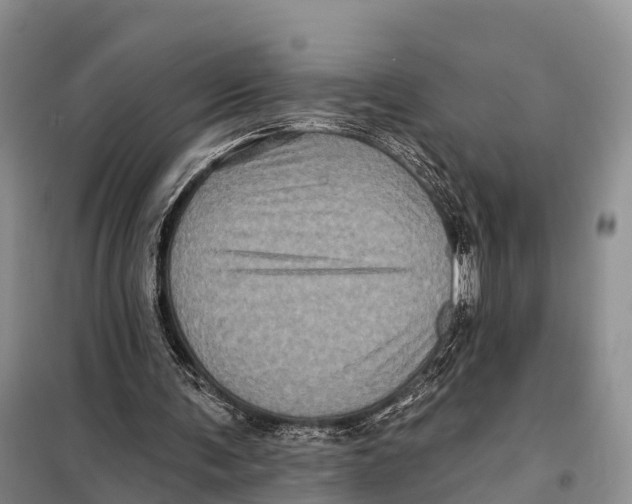 X0000098010291200804251121