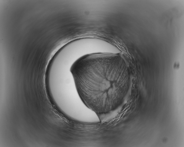 X0000098010292200804251121