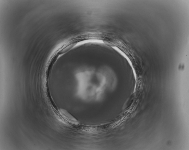 X0000098010293200804251120