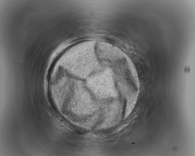 X0000098010294200804251120