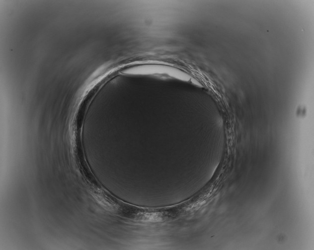 X0000098010295200804251120