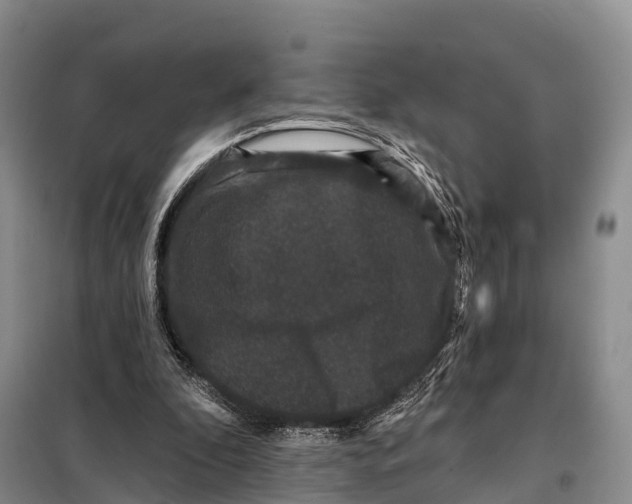 X0000098010296200804251120