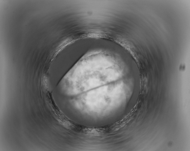 X0000098010297200804251120