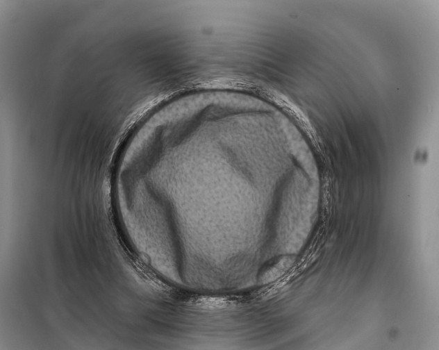 X0000098010298200804251120