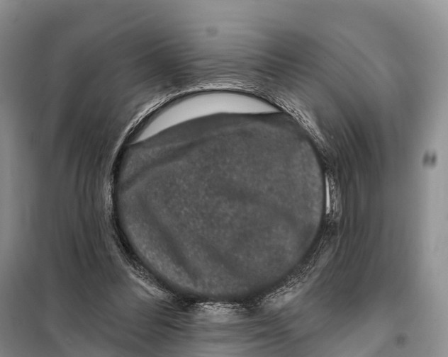 X0000098010300200804251120