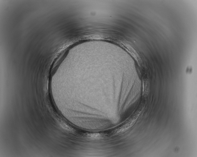 X0000098010301200804251120