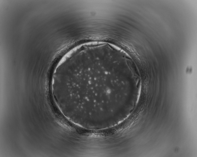 X0000098010303200804251120