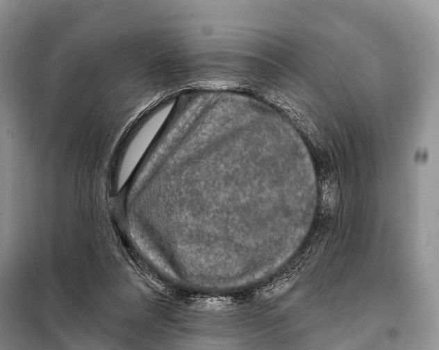 X0000098010304200804251120