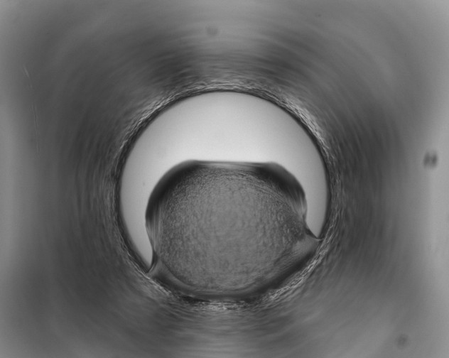 X0000098010305200804251120