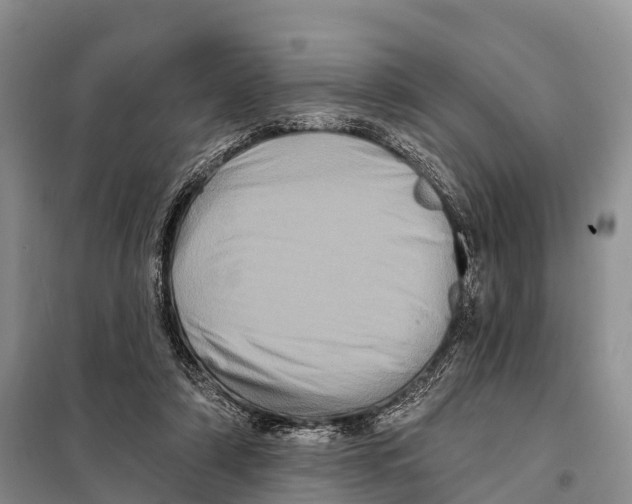 X0000098010306200804251120