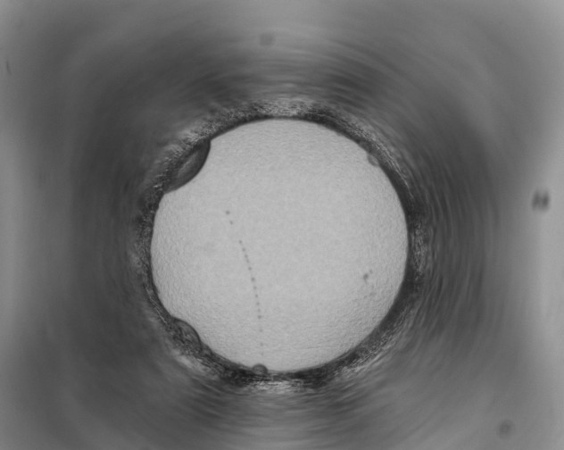 X0000098010307200804251120