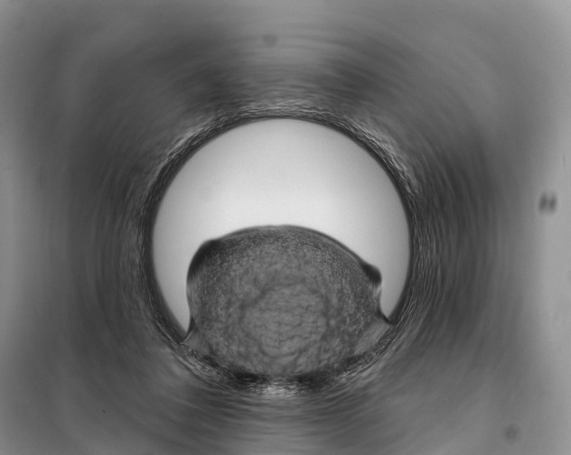 X0000098010308200804251120