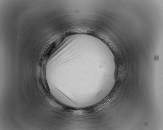 X0000098010309200804251120