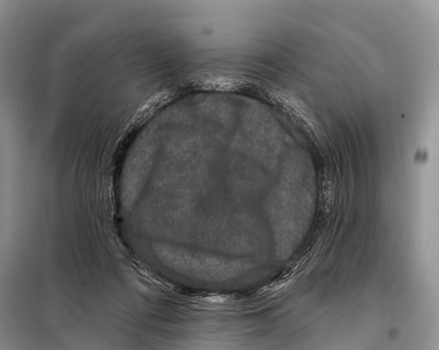 X0000098010312200804251120