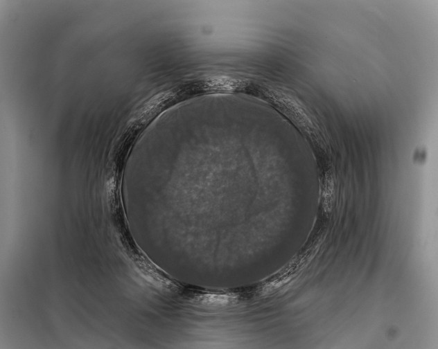 X0000098010314200804251120