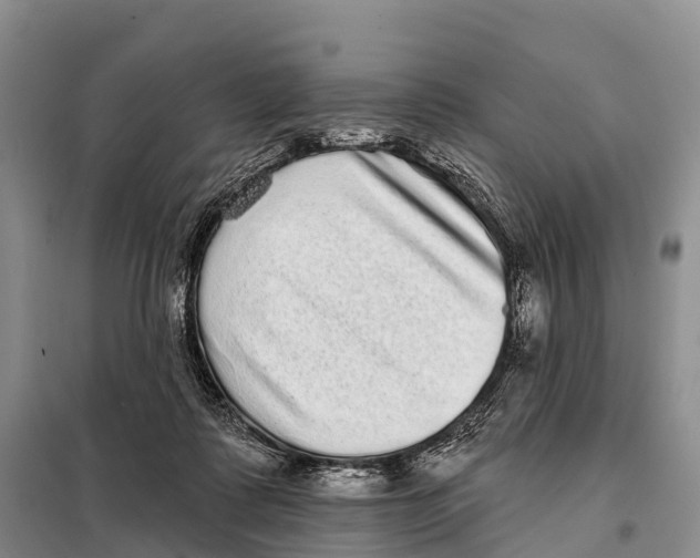 X0000098010315200804251120