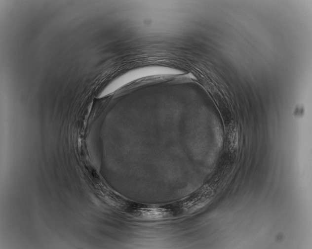 X0000098010316200804251120