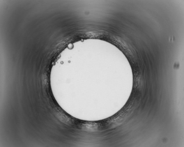 X0000098010317200804251120