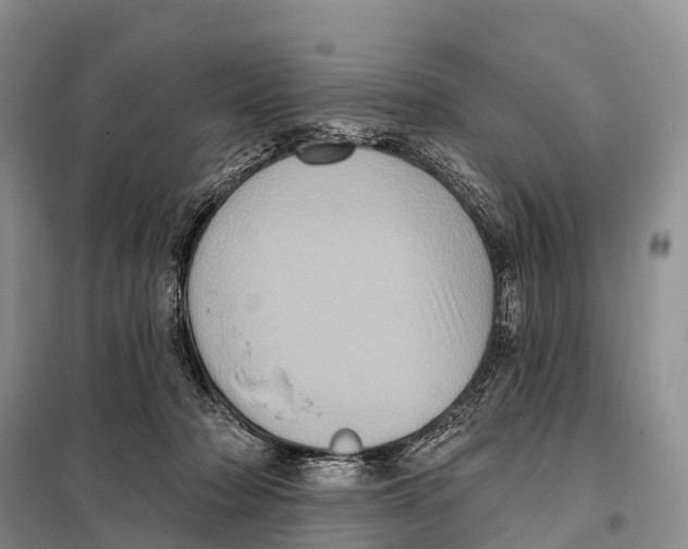 X0000098010318200804251120