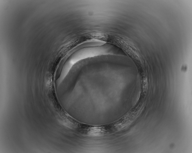 X0000098010320200804251120