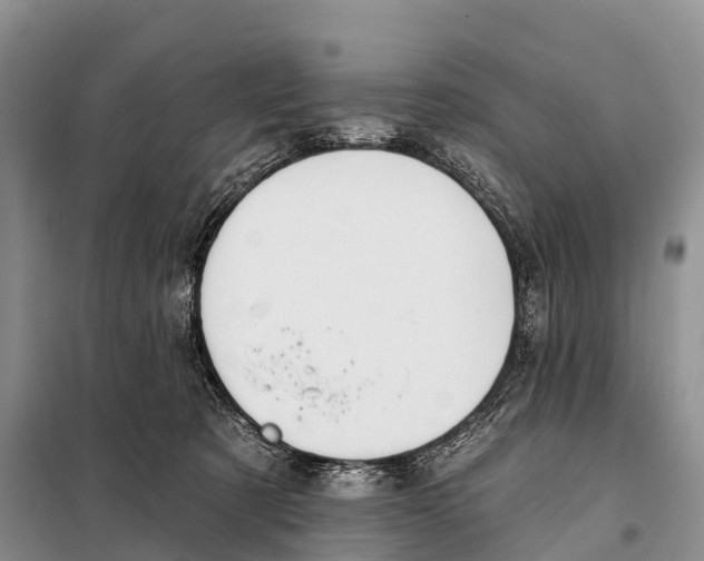 X0000098010321200804251120