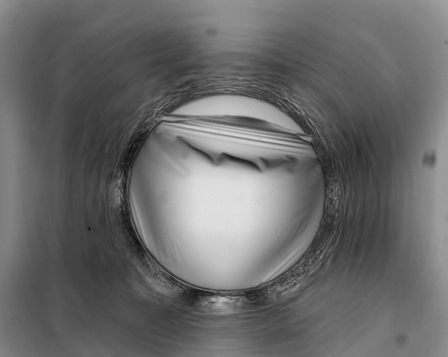 X0000098010323200804251120