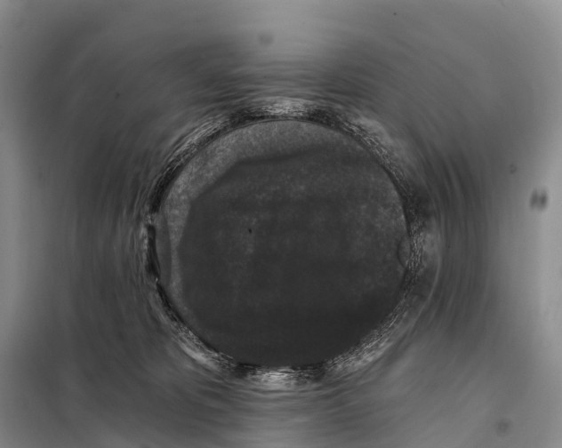X0000098010325200804251120