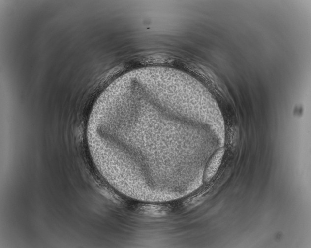 X0000098010326200804251120