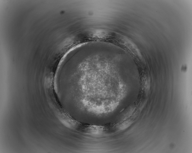 X0000098010328200804251120