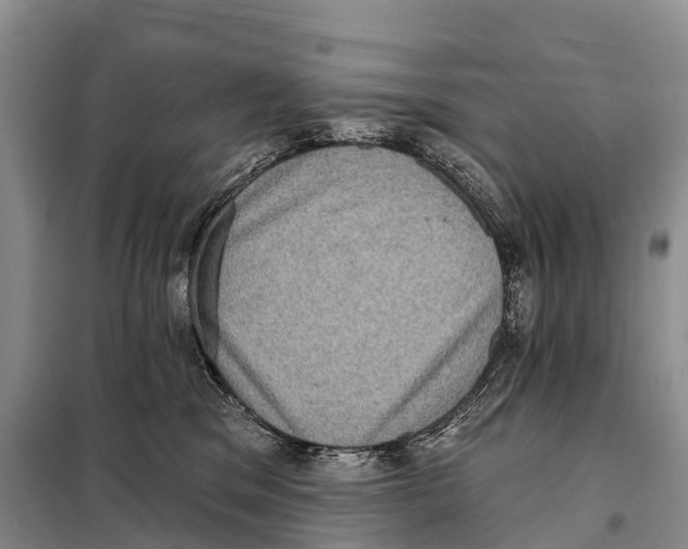 X0000098010329200804251120