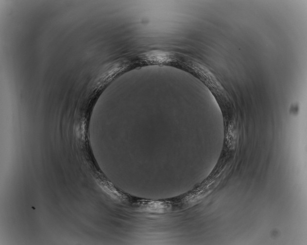 X0000098010330200804251120