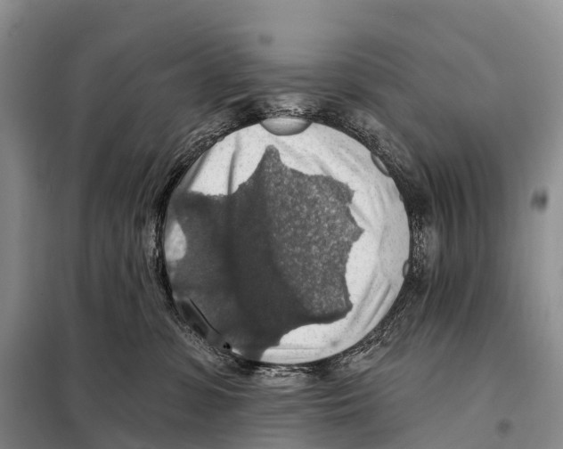 X0000098010331200804251120