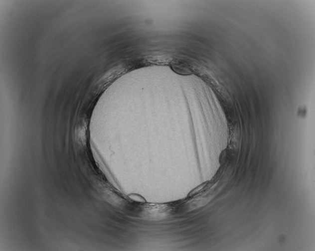 X0000098010334200804251120