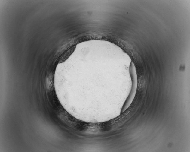 X0000098010335200804251120