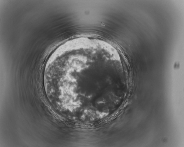 X0000098010337200804251119