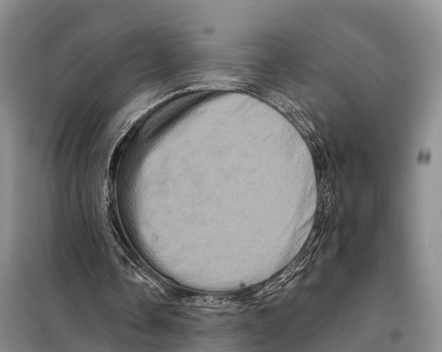 X0000098010338200804251119