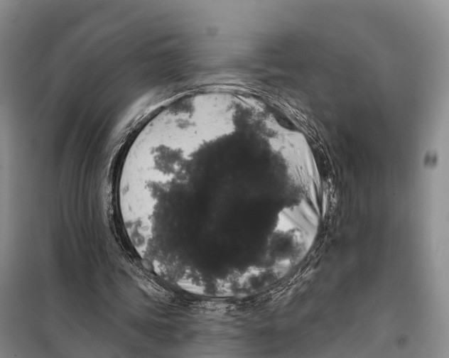 X0000098010339200804251119